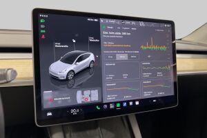 Tesla Model Y esikatselu 35