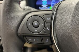 Toyota RAV4 Plug-in esikatselu 16