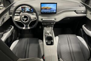 BYD Dolphin Surf esikatselu 10