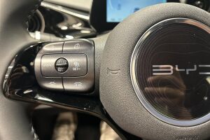 BYD Dolphin esikatselu 17