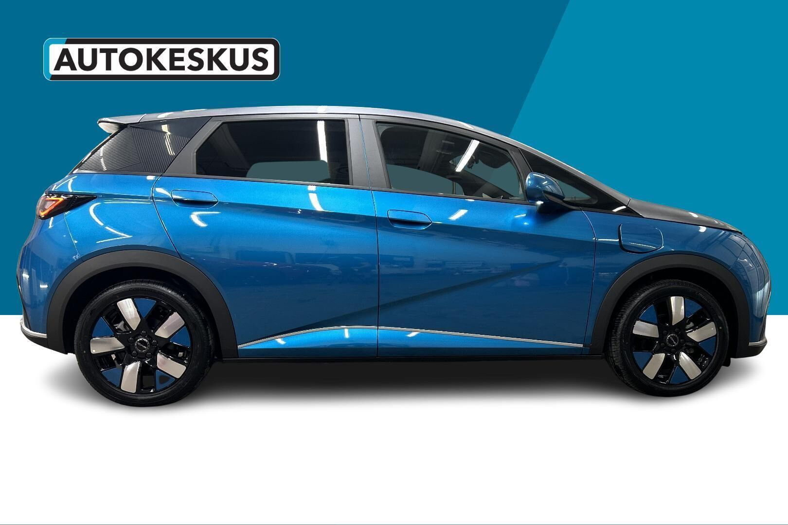 BYD Dolphin iso kuva 3
