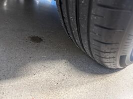 Ford Focus esikatselu 13