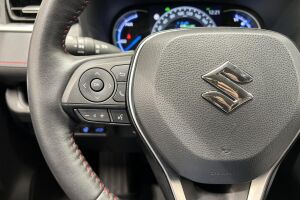 SUZUKI ACROSS esikatselu 31