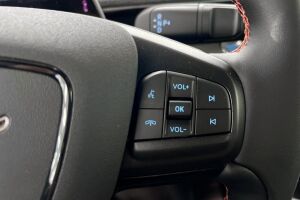 Ford Mustang Mach-E esikatselu 17