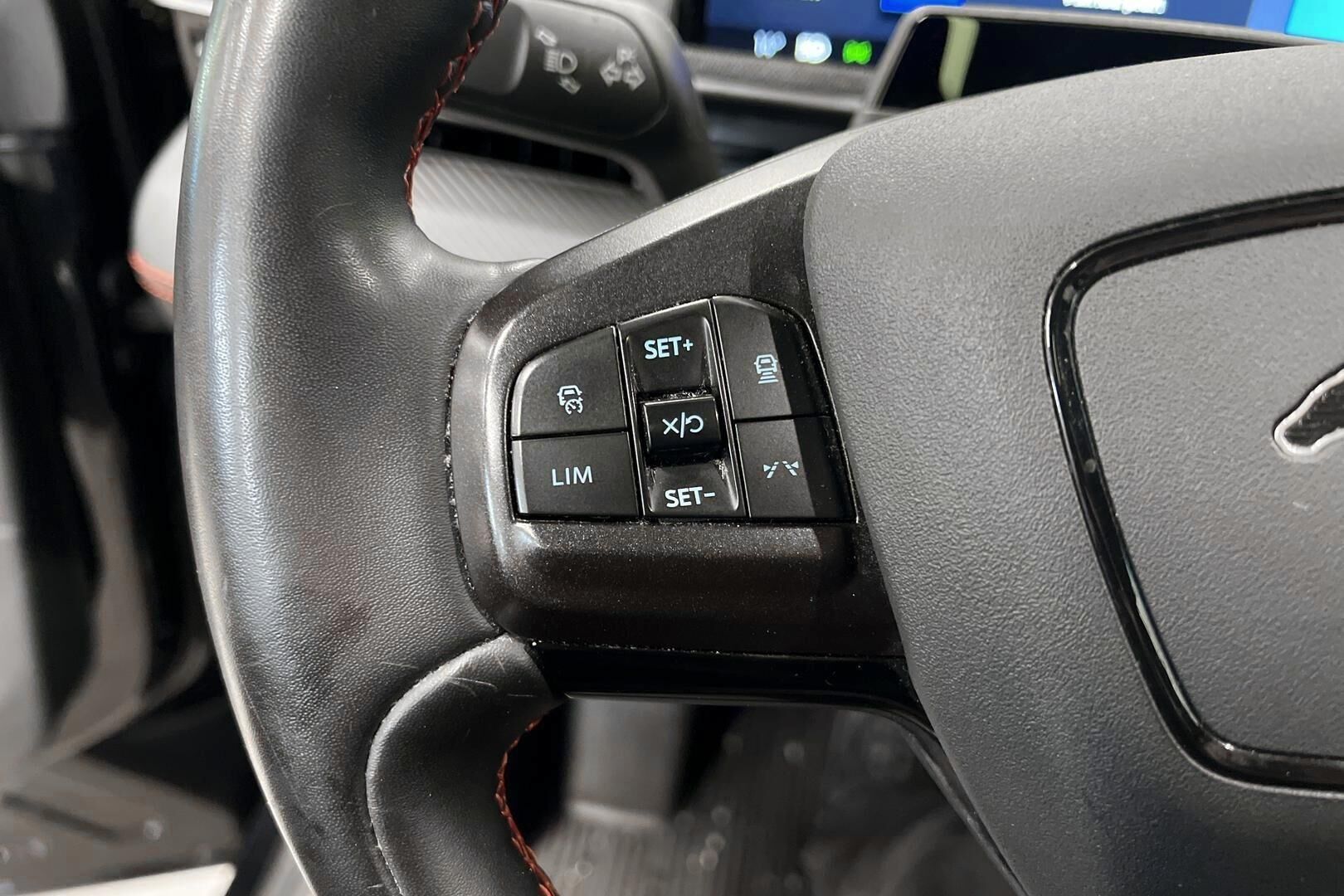 Ford Mustang Mach-E iso kuva 14