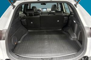 Toyota RAV4 Plug-in esikatselu 10